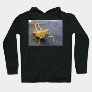 Grasshopper Hoodie